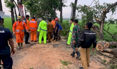 Gerak-Cepat-Polisi-dan-TNI-Bantu-Tangani-Pohon-Tumbang,-Jalan-Raya-Gondang-Tulungagung-Kembali-Normal